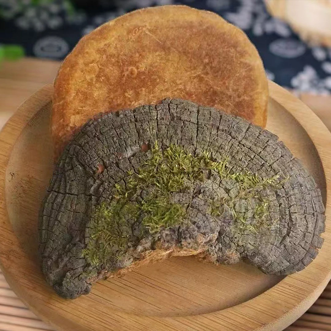 【保真】长白山桑黄整个桑树桑黄灵芝250克/500克 泡水喝 可切块