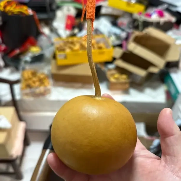 天然带龙头精品文玩小葫芦手把件可盘玩