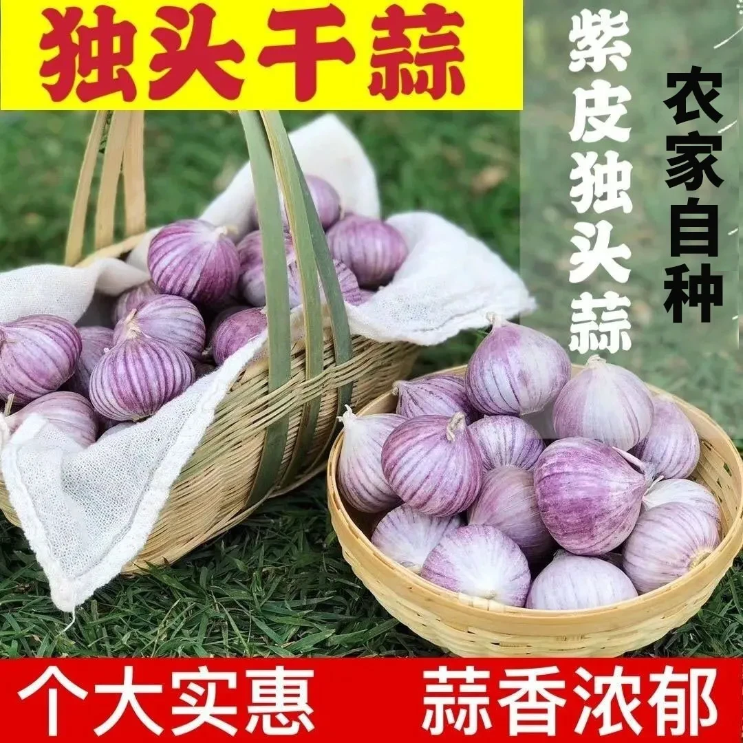 正宗独头蒜干蒜新鲜紫皮独蒜大蒜头干蒜特价农家蔬菜晒干新货特价