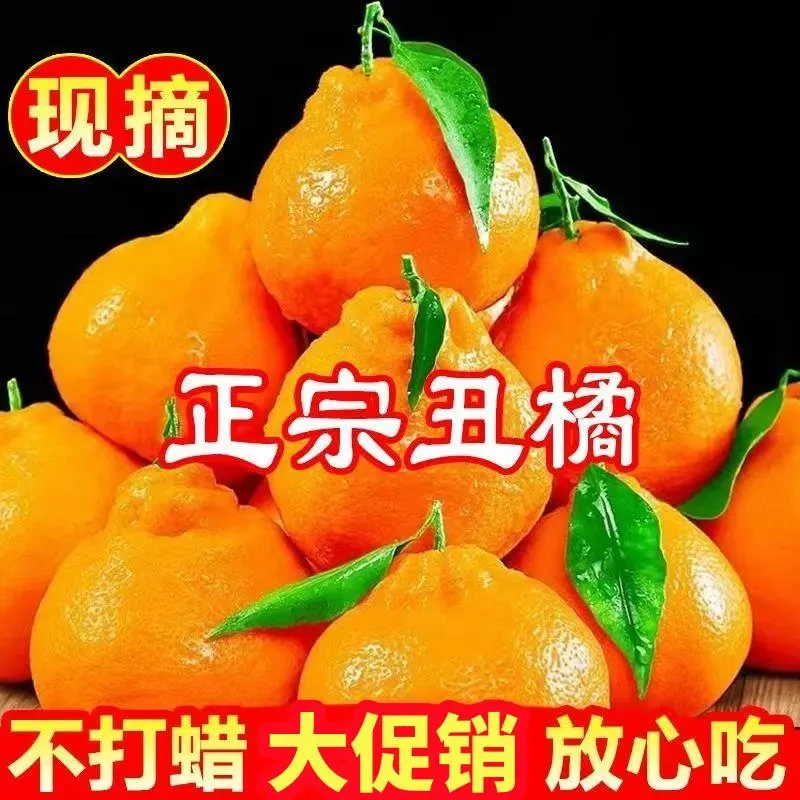1-9斤正宗丑橘新鲜水果丑桔高山不知火丑橘丑八怪孕妇水果整箱发