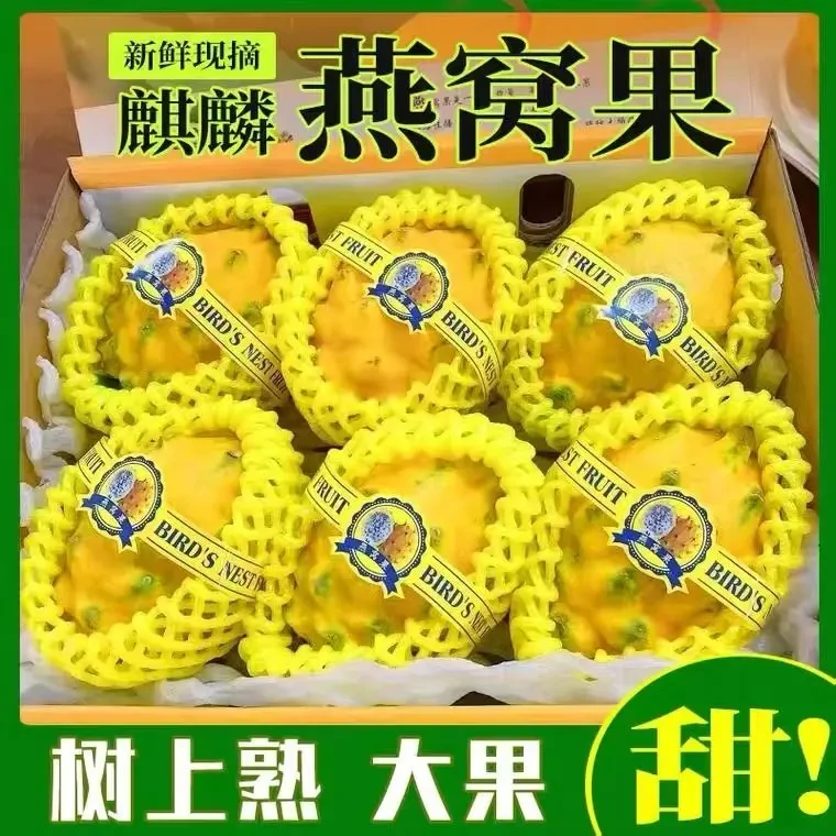 【顺丰】燕窝果大果新鲜麒麟果水果云南应季孕妇礼盒海南黄皮火龙果