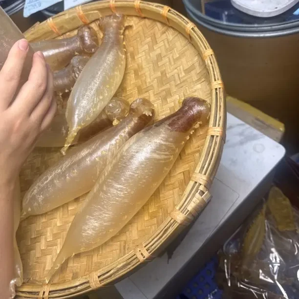 618南澳自晒滋补的深海刺花赤嘴筒鱼胶干货
