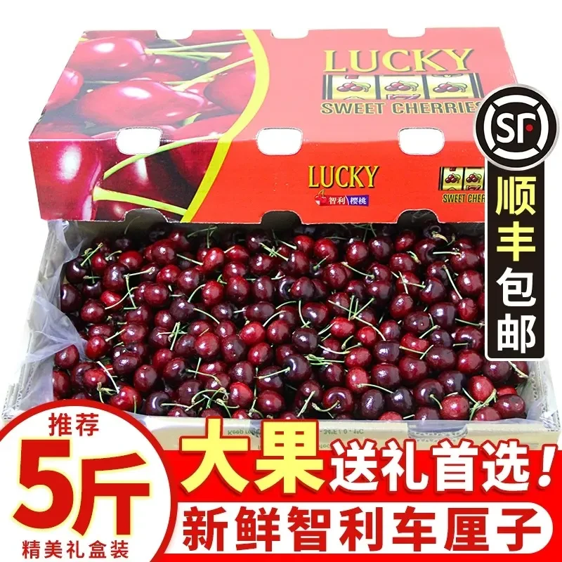 【原箱5斤】拉宾斯智利新鲜车厘子海运孕妇冬天水果J-5J 内附果径卡