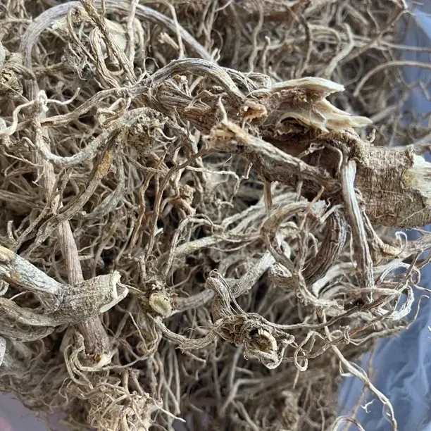 （山货）云南特产野生山当归用于炖鸡煲汤晒干滋补养生食材