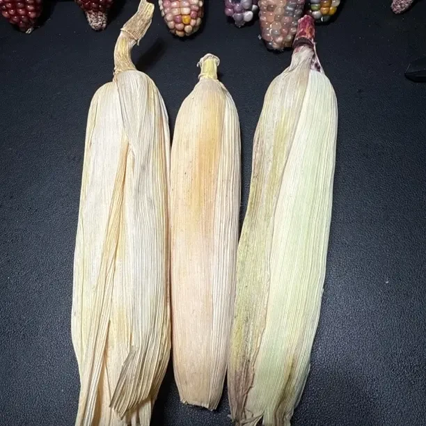 直播间一物一拍文玩玉米带皮毛料猜猜猜