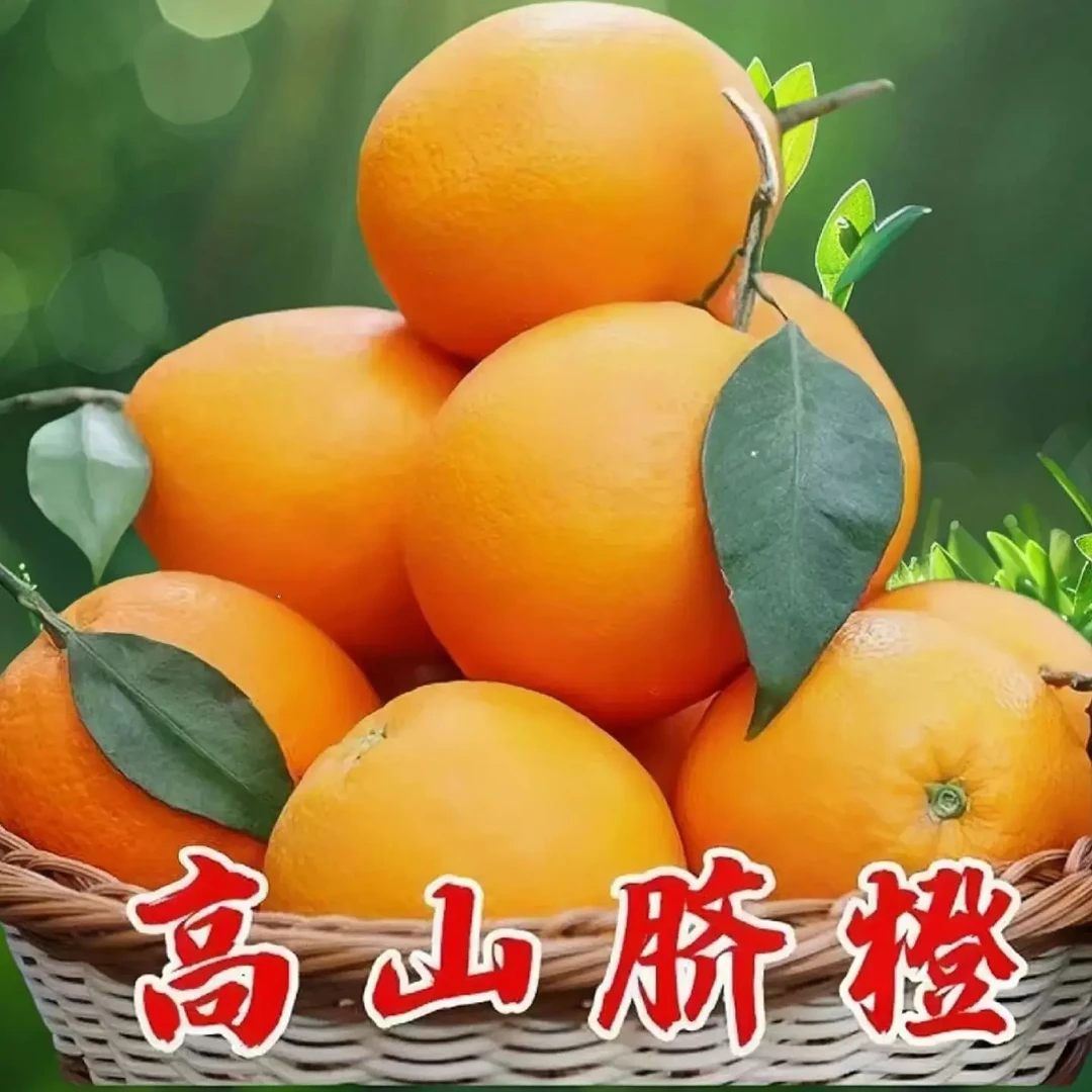 L1正宗江西赣南脐橙现摘新鲜香甜多汁产地直发水果