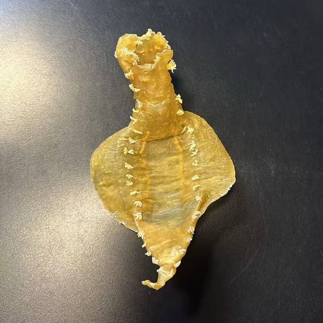 瑞燕深海野生刺花赤嘴鱼胶鱼鳔花胶滋补煲汤佳品