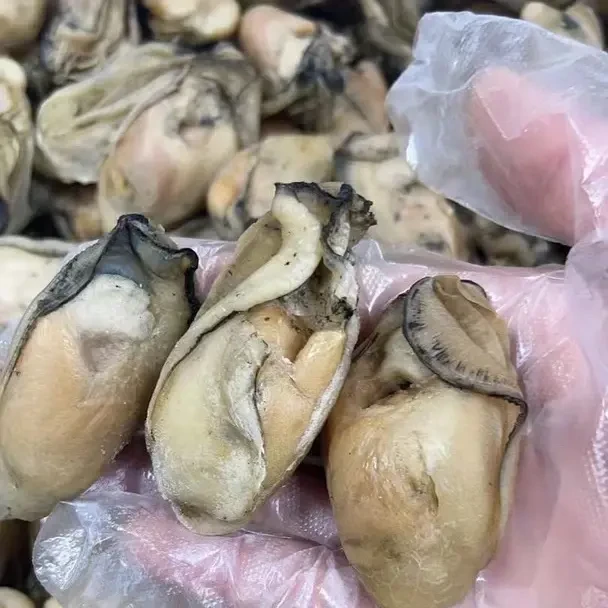 汕尾金蚝六成干天然生晒无沙适合焖煎炖煮40头/斤