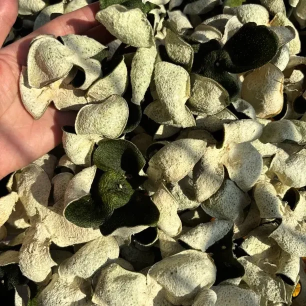 2025年新会核心产区东甲牛比围原枝大青皮泡茶煮水煲汤均可