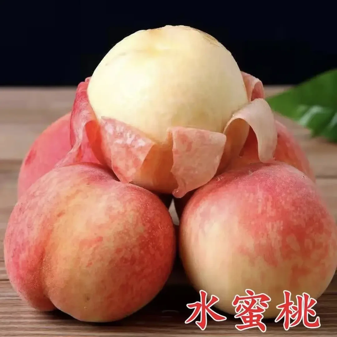 桃树带花发货当年水蜜桃惊喜冬桃黄桃优质苗