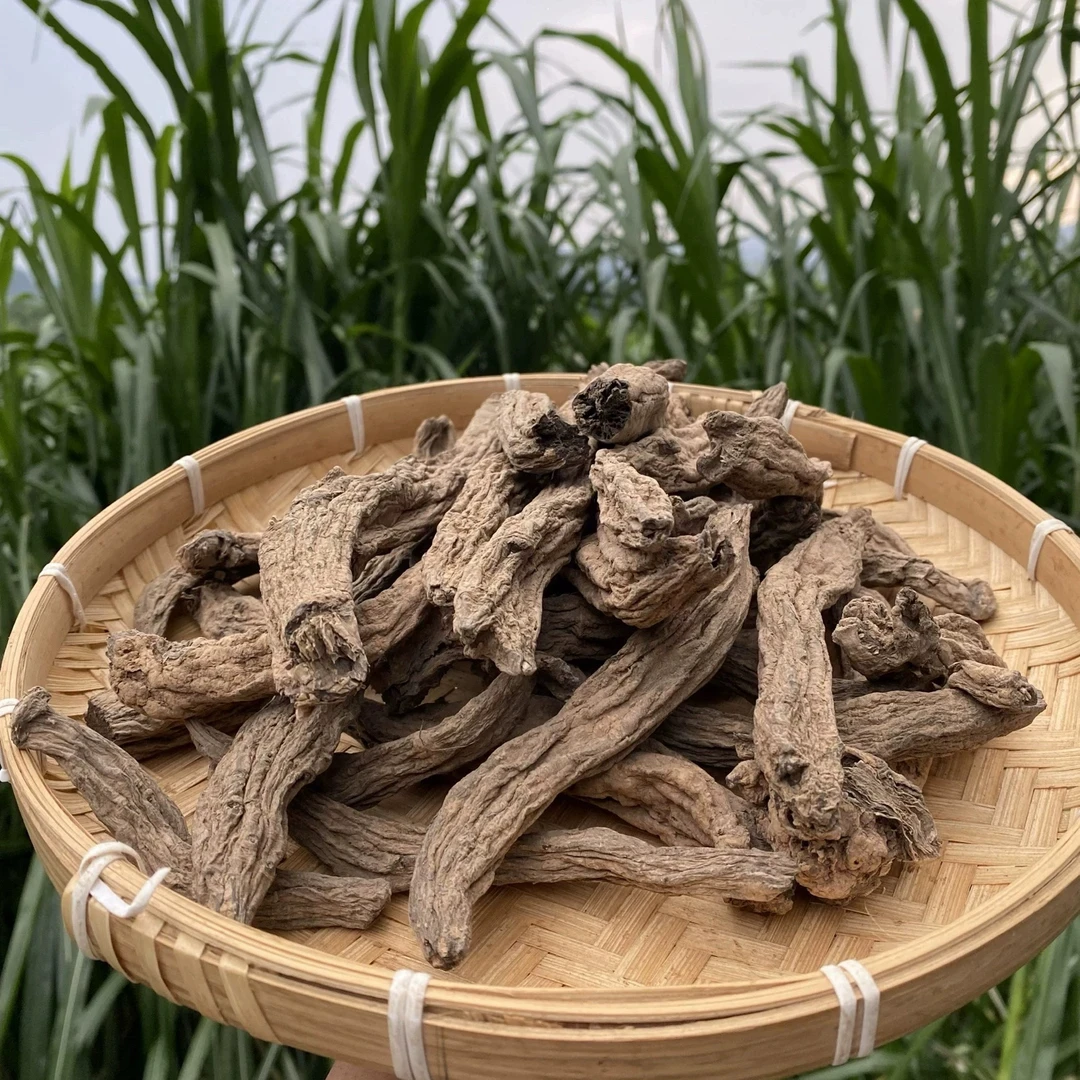 阿妹家的精选【乌金参】500克       xys专属