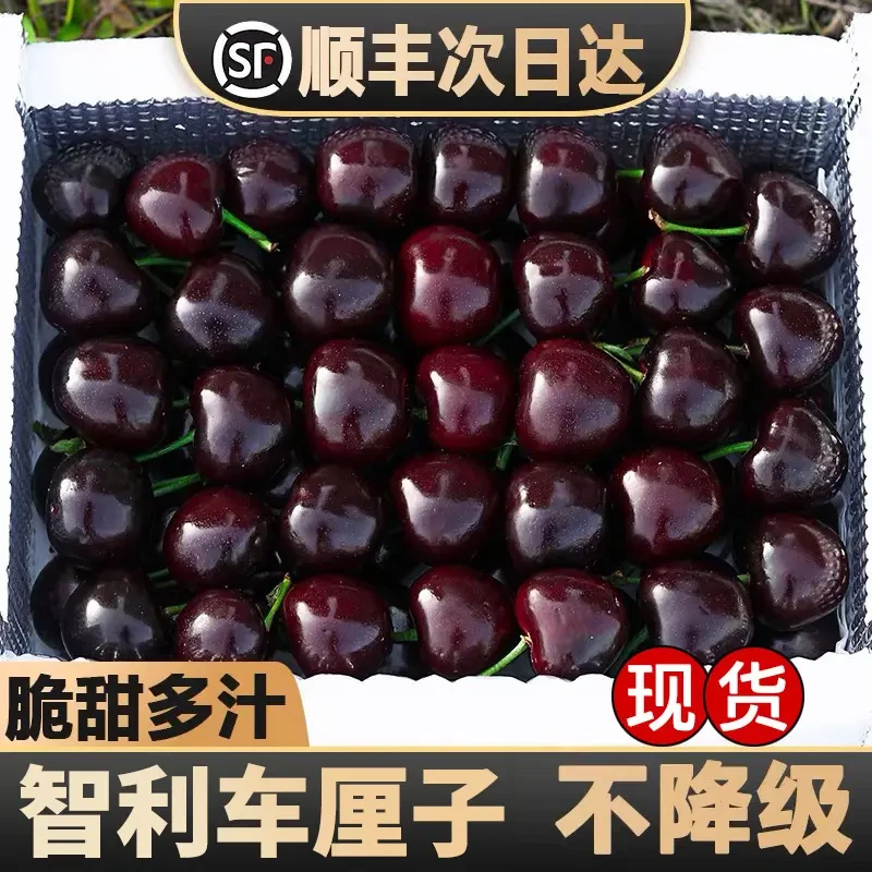 2JD-4JD黑车加大 五斤原箱【今天拍明天到】XM智利海运车厘子新鲜水果孕妇水果内附果径卡桑提娜樱桃智利共和国