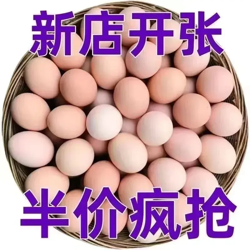 50枚土鸡蛋散养新鲜虫草蛋一整箱无抗谷物喂养10枚 40-45g