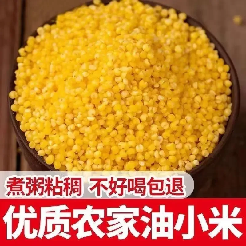 黄黏香武安小米.礼盒装武安小米旱地小米