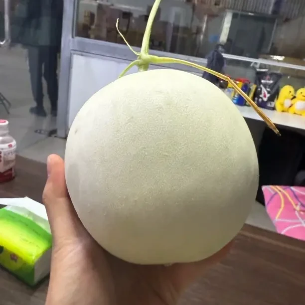 甜瓜新鲜多汁软糯香甜小籽蜜瓜