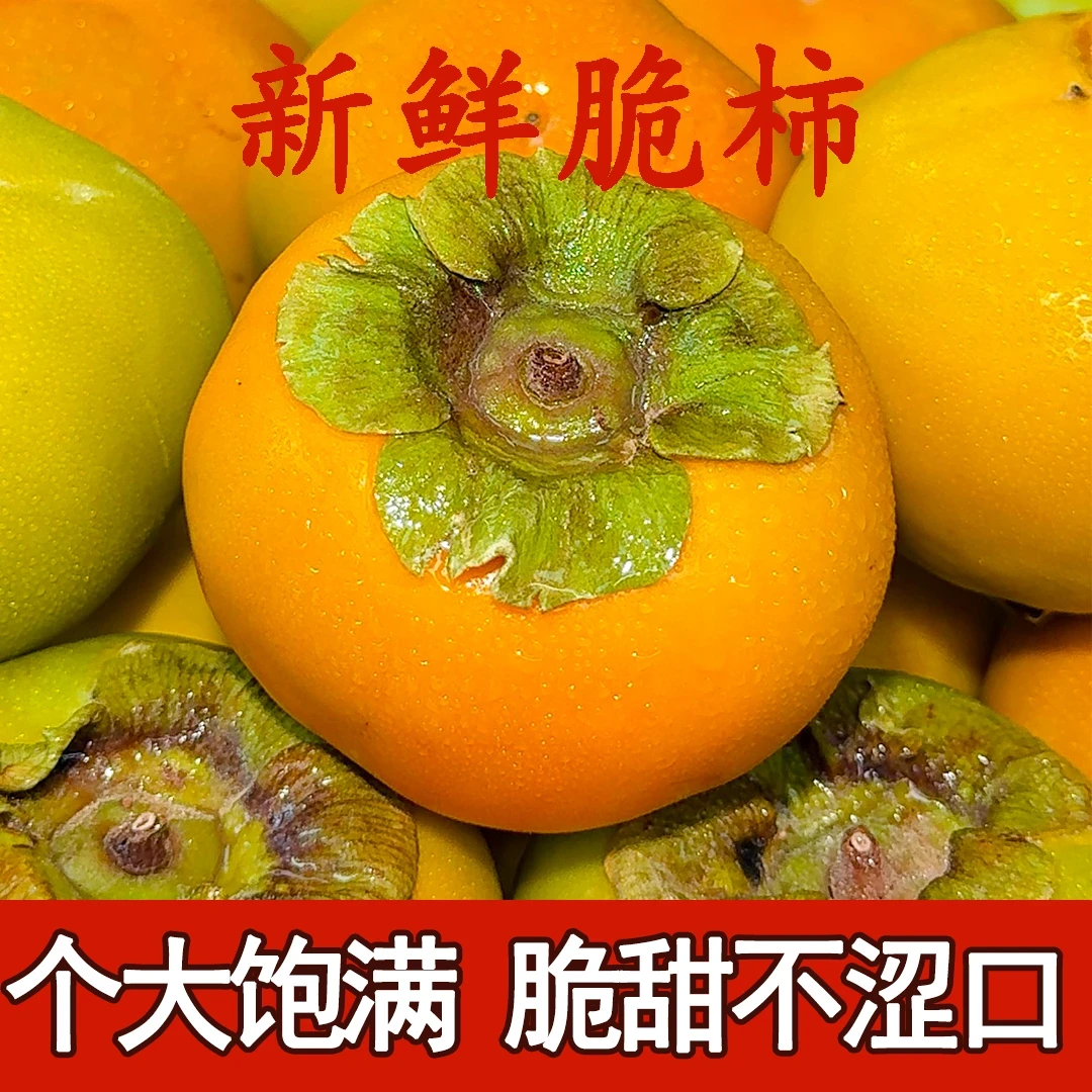 新疆包邮【冰糖心脆柿】京东包邮新鲜采摘香甜多汁巧克力脆柿果园发