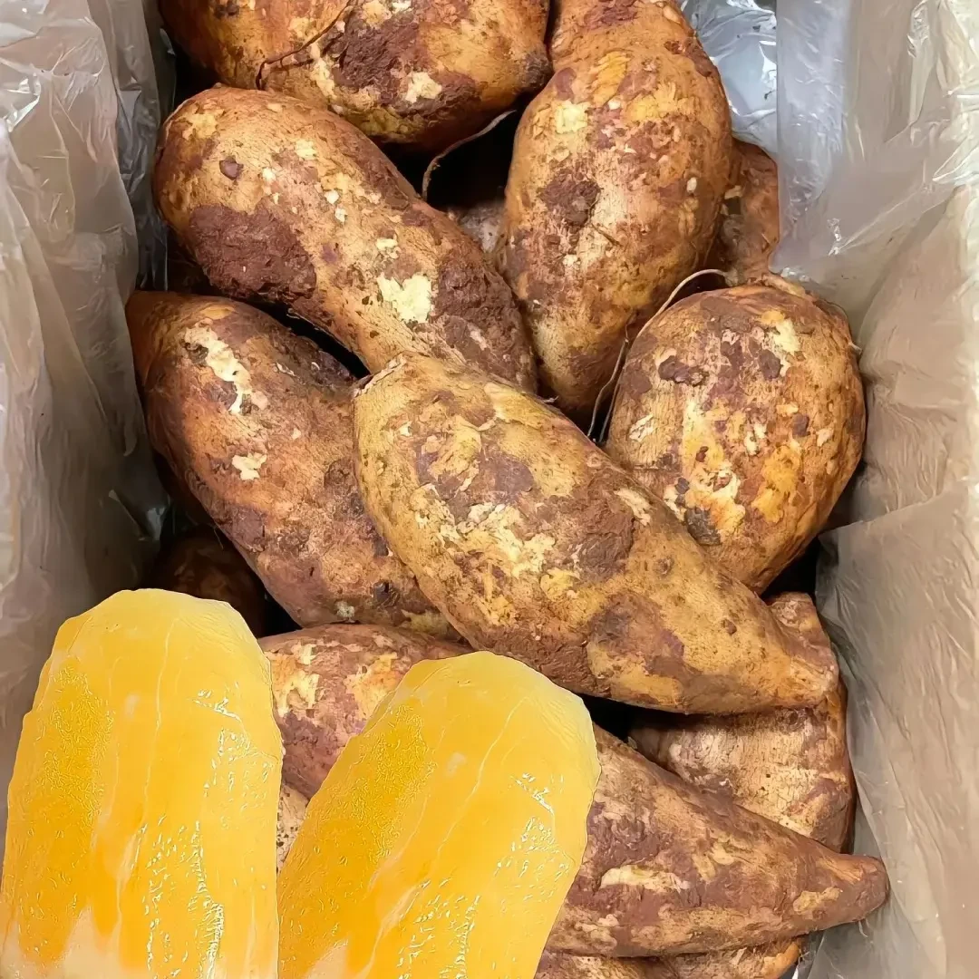 现挖现发云南黄心雪莲果新鲜水果脆甜多汁孕妇应当季水果1-9斤装