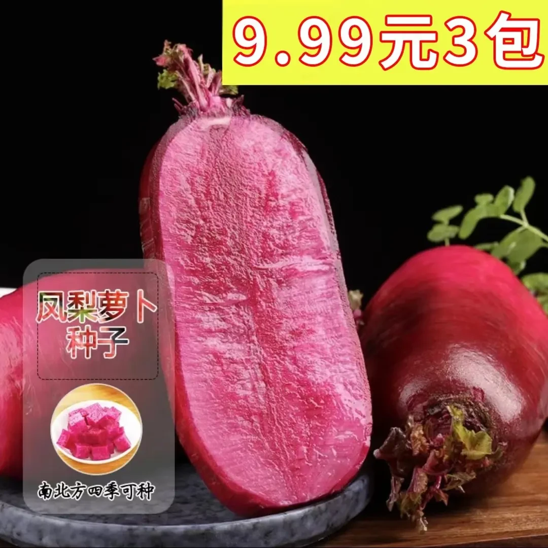 【凤梨水果萝卜】凤梨萝卜阳台菜园庭院可萝卜种子