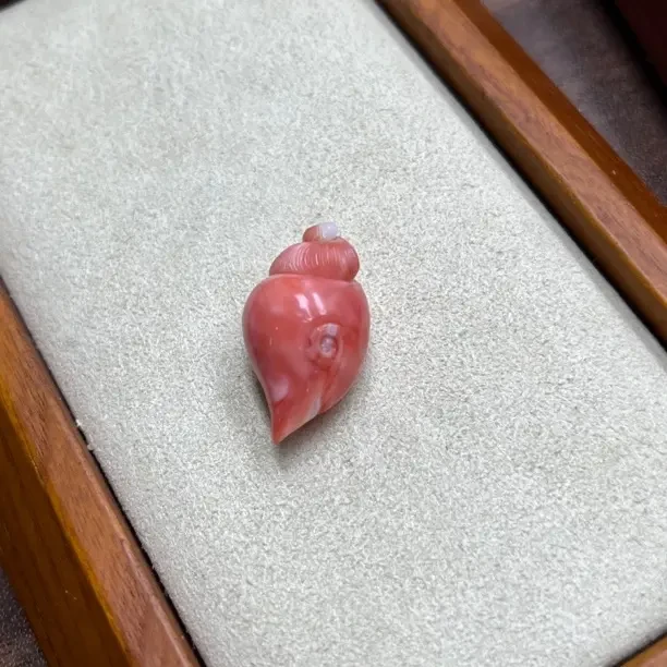 纯天然红珊瑚雕刻海螺