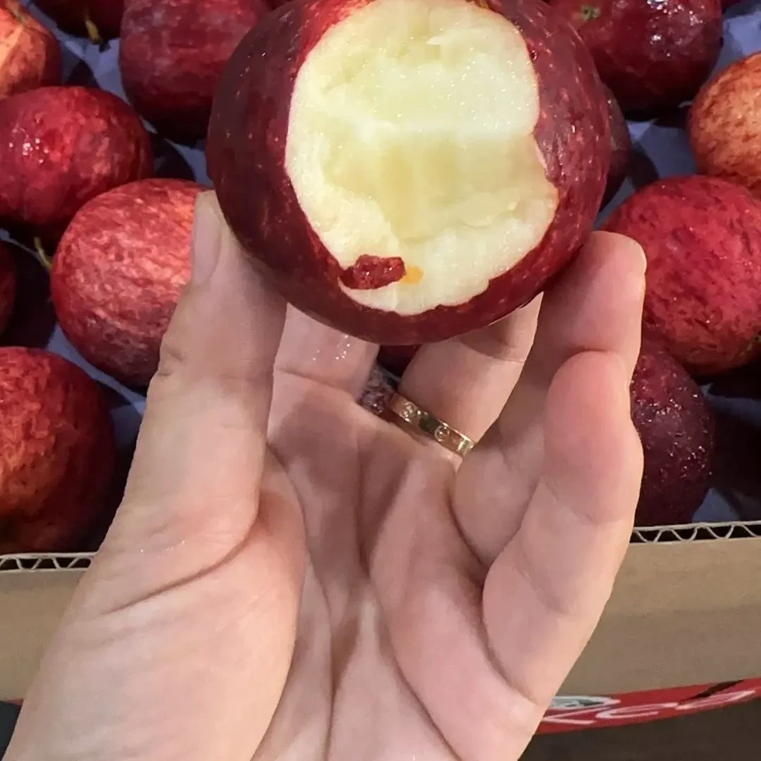 新西兰红玫瑰小一包10个25元甜脆营养多汁新鲜上海市