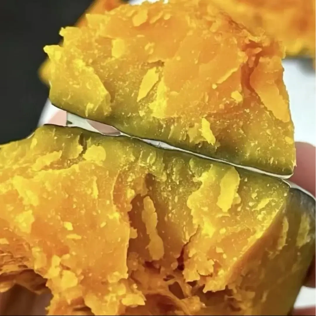 【冰糖子南瓜种子】家庭阳台小院盆栽地栽四季种植