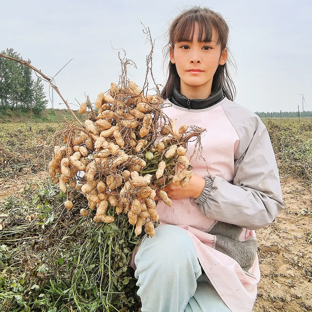2025半干花生现摘现发农家自种半干带壳微带泥花生可水煮可鲜食
