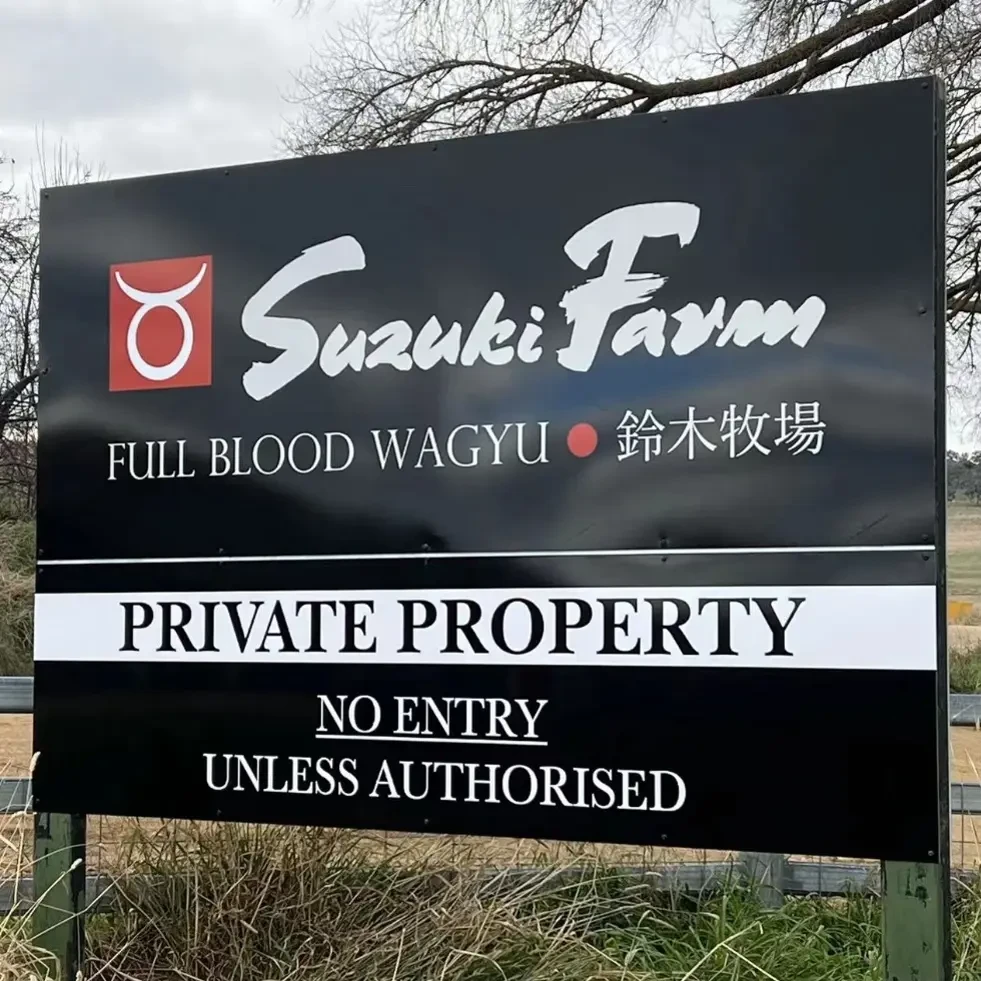 原切牛排【铃木纯血牛排部位】澳洲铃木冰鲜纯血和牛牛排烤肉