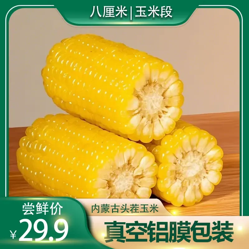头茬黄金八厘米新玉米段糯玉米真空包装早餐东北黏苞米八厘米玉米