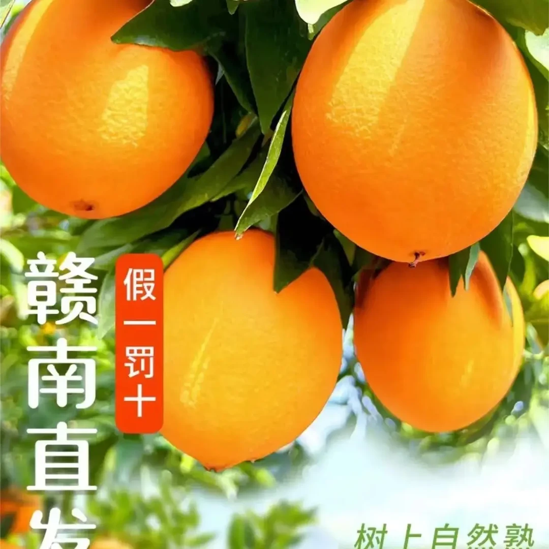（赣州现发）正宗江西赣南脐橙当季新鲜水果鲜嫩脆爽多汁大果江西省