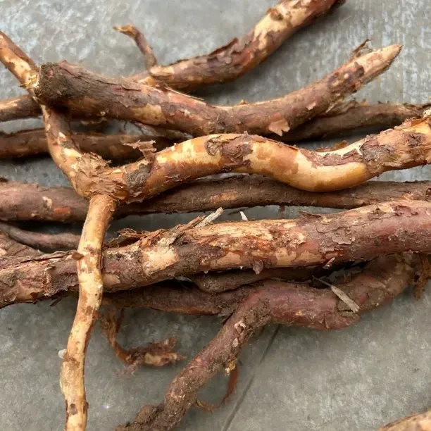 贵州高山野生刺梨根茨黎根煲汤泡酒原生态