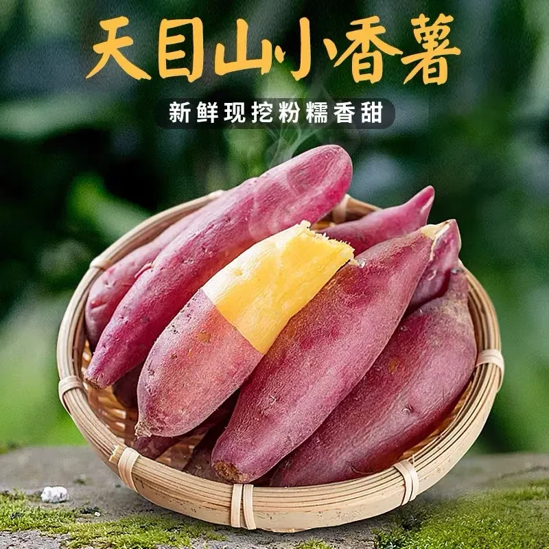 临安天目山小香薯优选粗纤维 软糯香甜粉糯地瓜沙地红薯