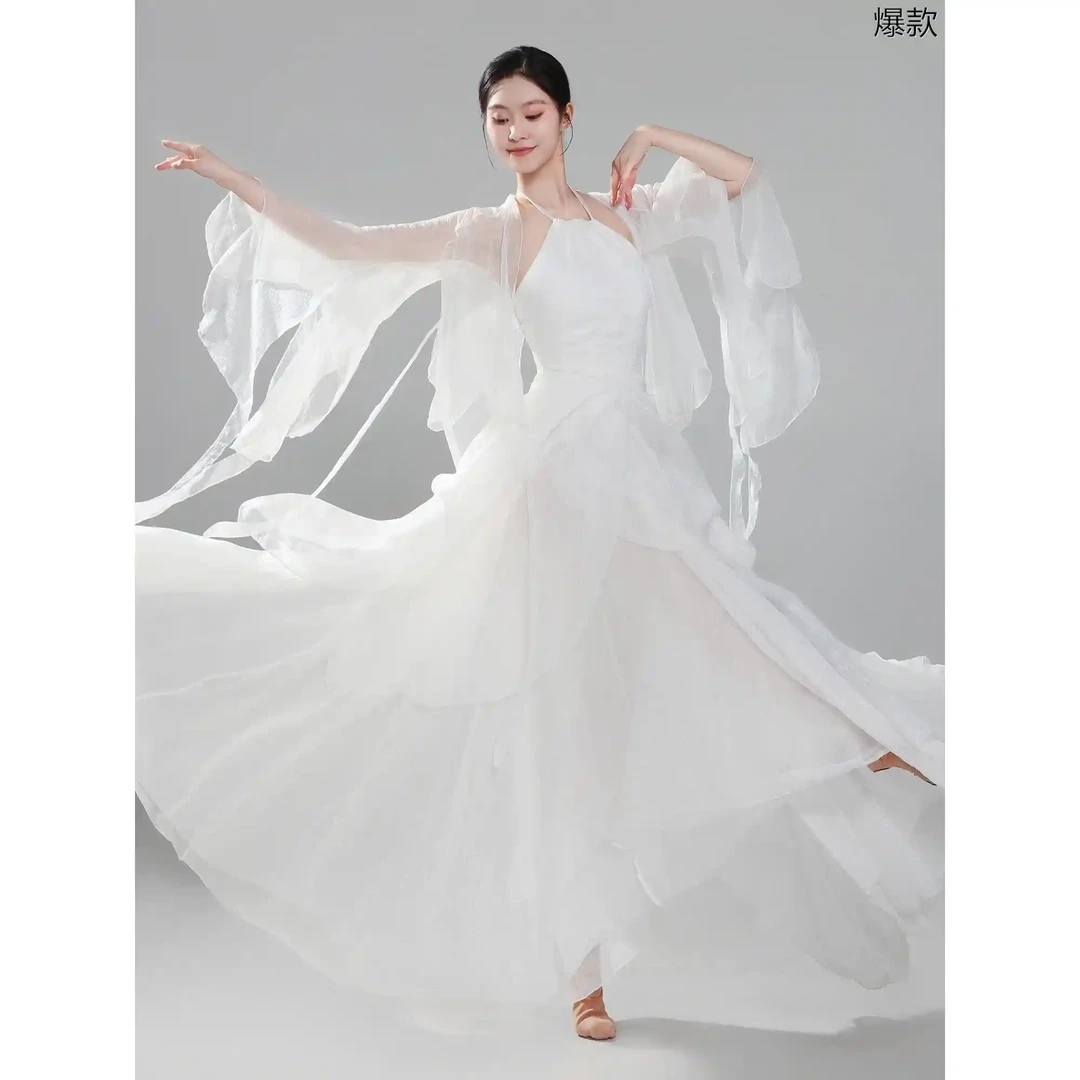 古典舞蹈服新款仙气飘逸身韵纱衣女白色中国民族舞艺考演出服套装