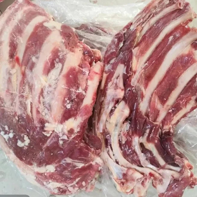 高品质驼排肉适合多种烹饪方式的佳选