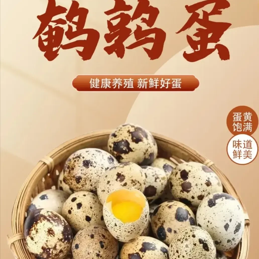 新鲜买40枚送10枚到手50枚农家自养新鲜农家现产适合宝宝孕妇