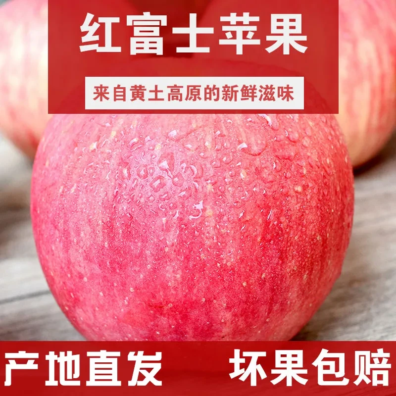 包邮甘肃庆阳产地红富士苹果新鲜当季脆甜多汁冰糖心应季精品水果