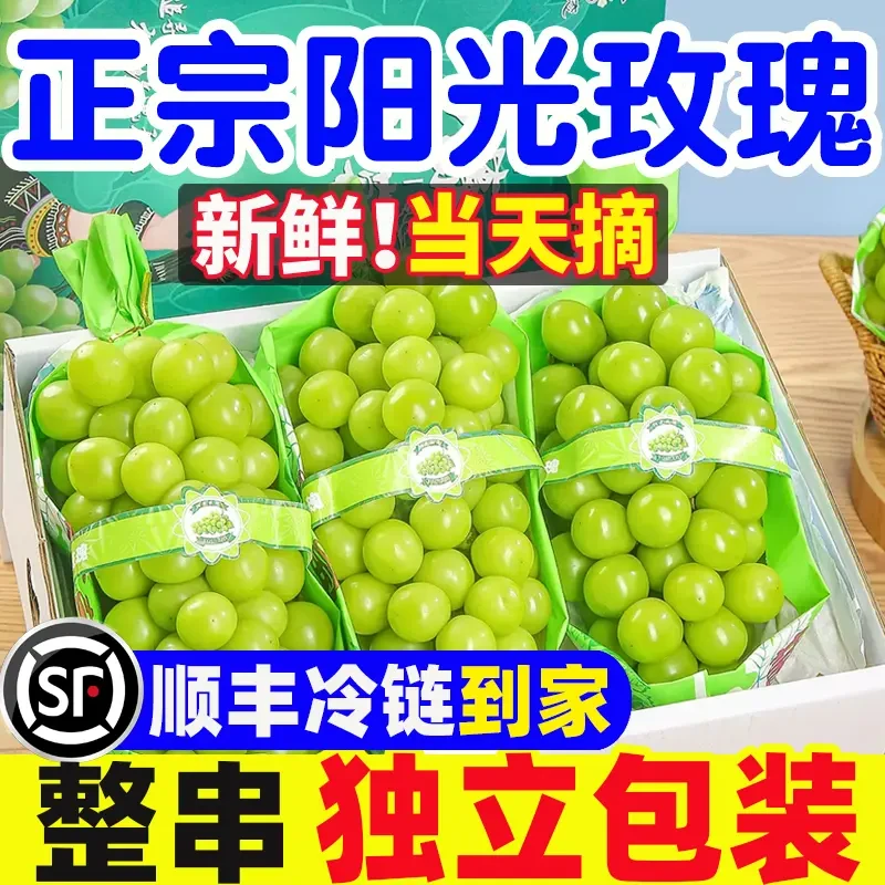 【顺丰冷链直达】正宗阳光玫瑰葡萄新鲜应季水果鲜甜多汁