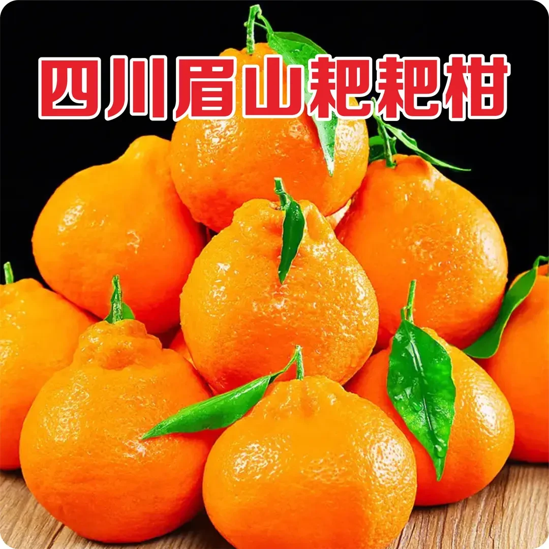 粑粑柑四川正宗耙耙柑果园直发新鲜现摘现发细嫩多汁应季水果