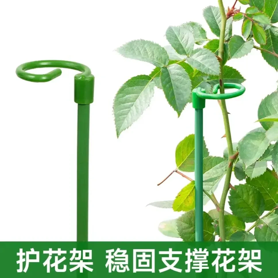 植物支撑绣球蝴蝶兰支撑花架子固定架月季爬藤防倒伏铁艺支撑花架