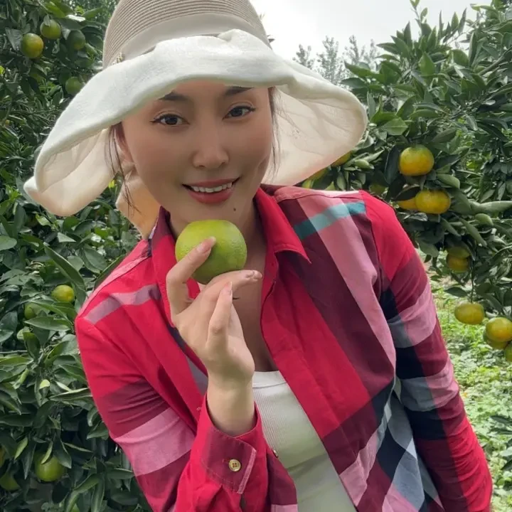 自家种的橙子户外