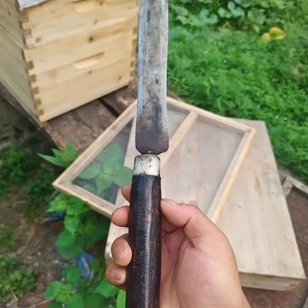 割蜜刀养蜂专用进口弹簧钢手工锻打