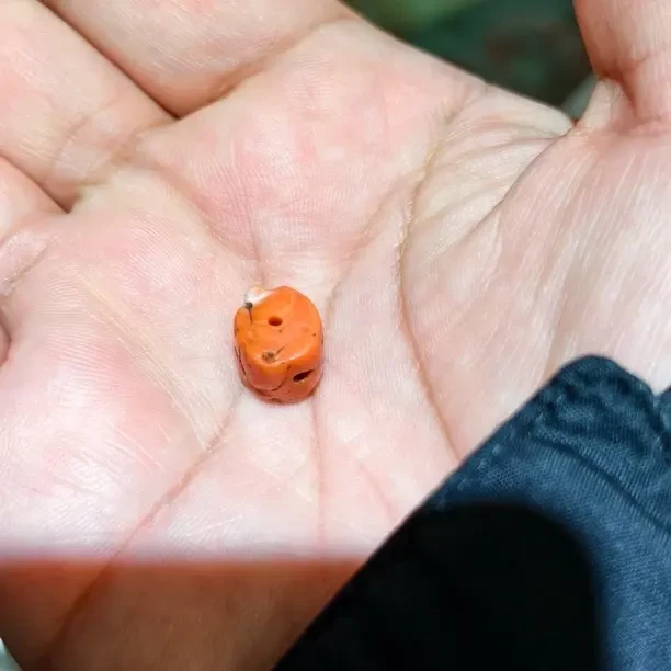 梓钦甄选-momo珊瑚单珠2.02g