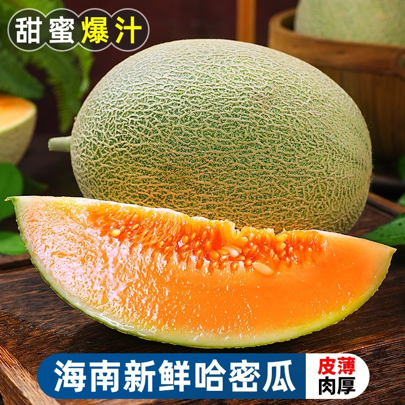 正宗海南哈密瓜西州蜜瓜脆甜多汁当季新水果产地现摘现发