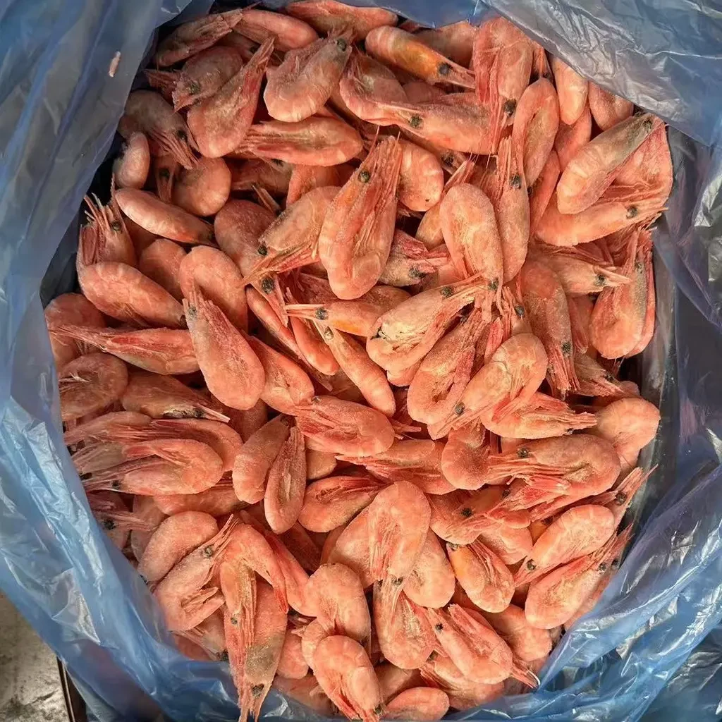 北极熊马库斯黄标90120头籽