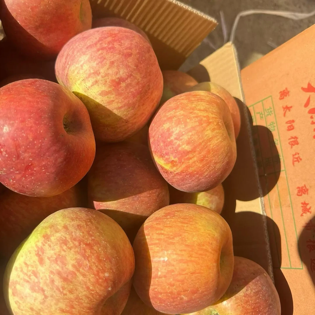 冰糖心丑苹果新鲜脆甜多汁当季水果大果