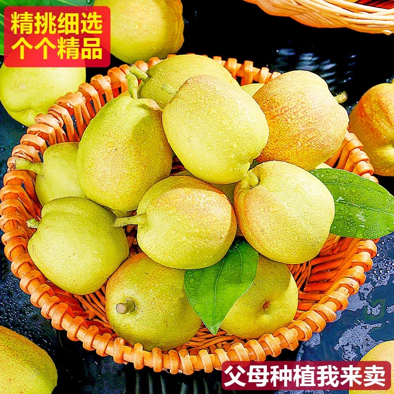 正宗新疆库尔勒香梨新鲜水果脆甜多汁皮薄香甜梨