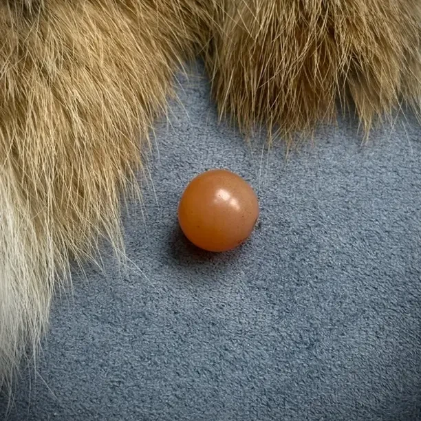 红玉髓圆珠古珠配饰 11.6