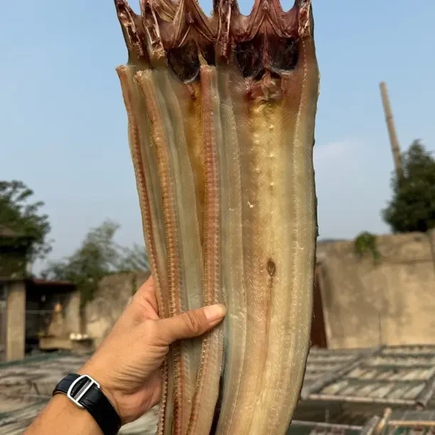 舟山渔民自晒东海鳗鱼干风鳗干海鲜干货淡晒3斤