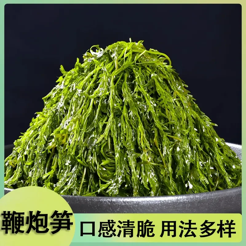 【半价抢！】鞭炮笋海藻羊栖菜火锅凉拌菜海草火炮菜长寿菜盐渍马尾