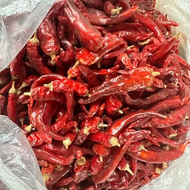 特辣新货自然风干农家干辣椒炒菜必备