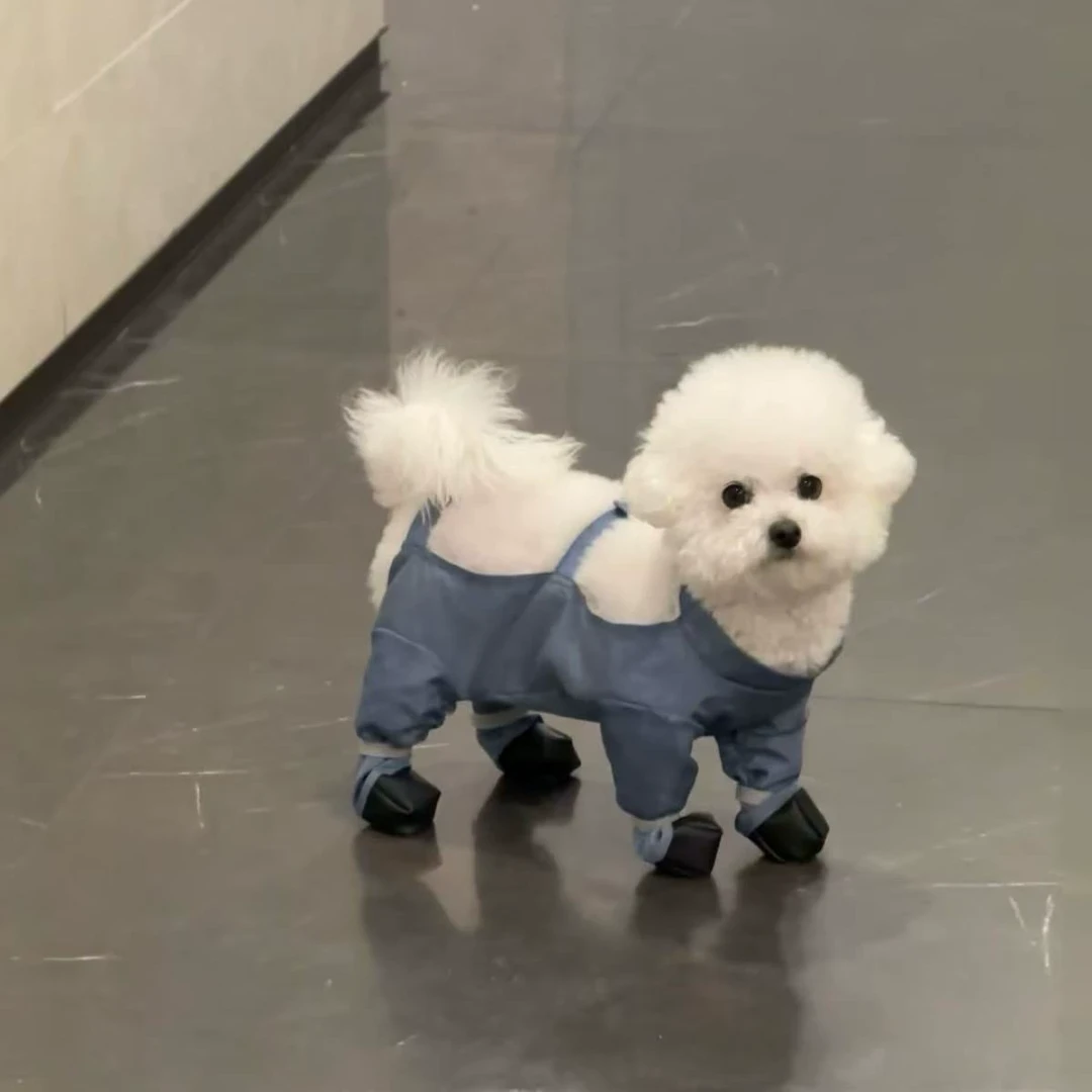 狗狗防尘裤遛弯裤春夏防脏防虫轻薄四脚裤腿套护腿小型犬春夏衣服